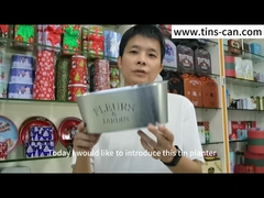 Гальванизированные овальные оцинковывают бак плантатора вазы металла для украшения сада цветков